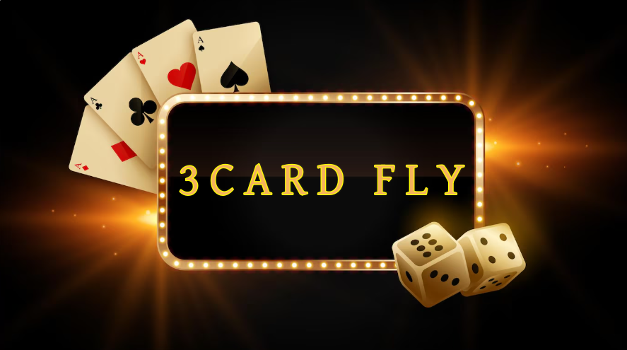 3 CARD FLY پاکستان
